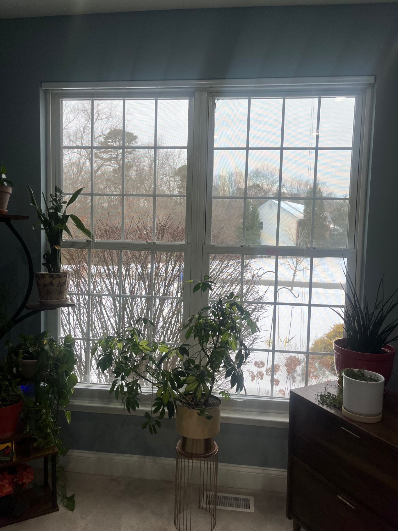 Interior double-hung windows — before
